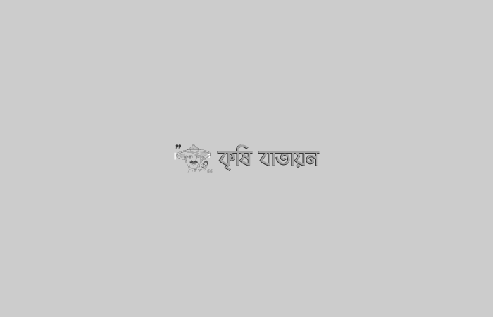 রাজবাড়ী সদর উপজেলায় প্রণোদনার সার ও বীজ বিতরন অনুষ্টান অনুষ্টিত